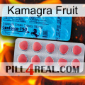 Kamagra Fruit new14